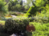 Teich