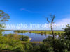 Elbblick